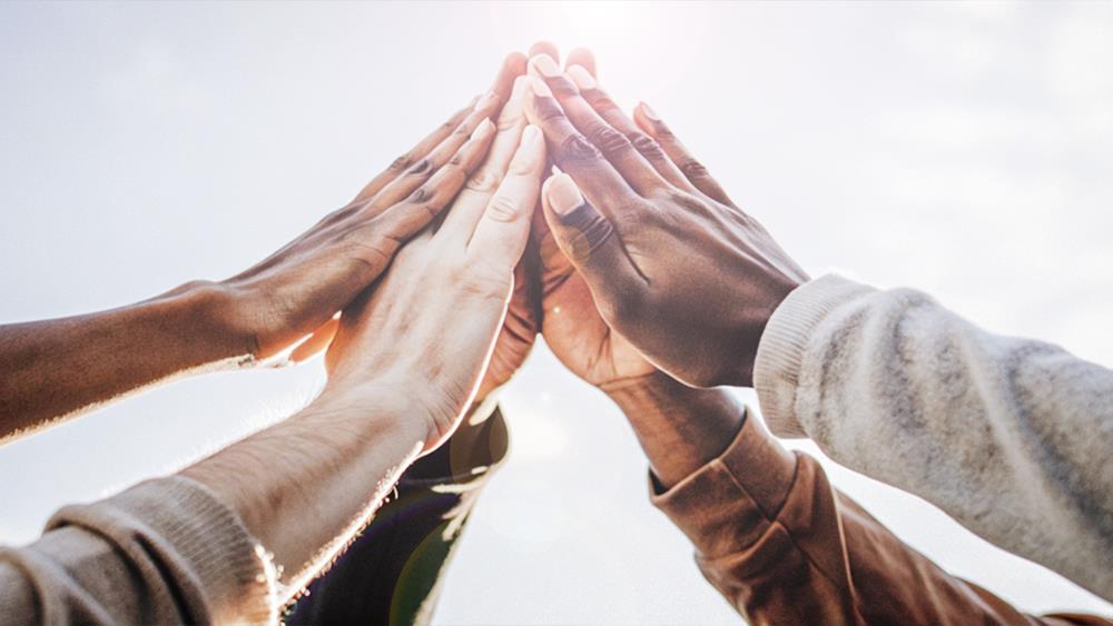 Wilson Brook Consulting joins the Construction Inclusion Coalition  image