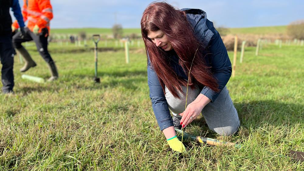 JT Atkinson further invests in nature recovery across the Yorkshire Dales image