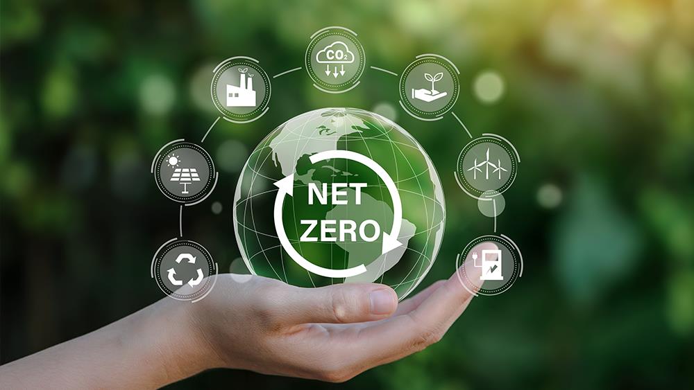 Three more BMF members become Zero Carbon Champions image