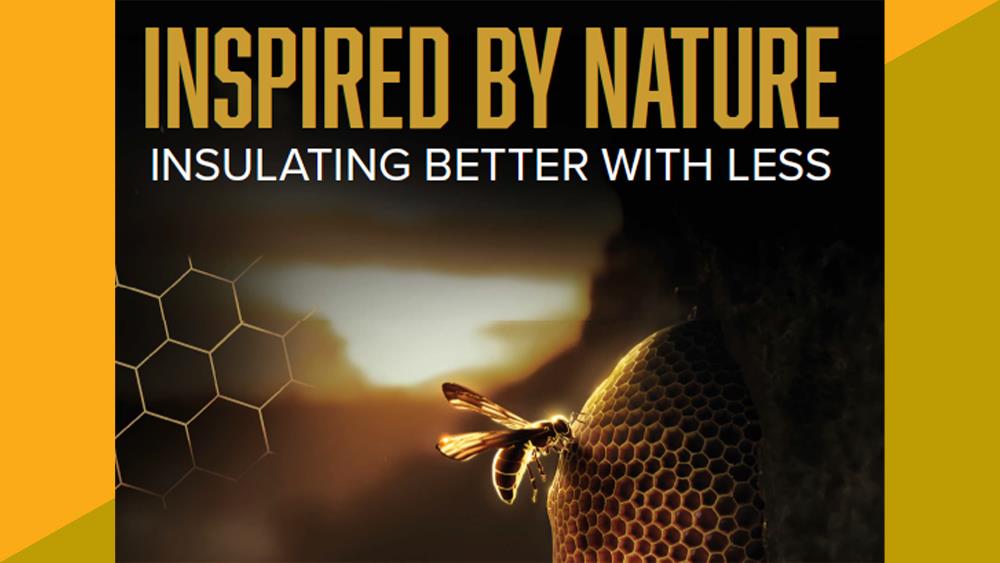Actis uses bee motif to illustrate how its products are inspired by nature image