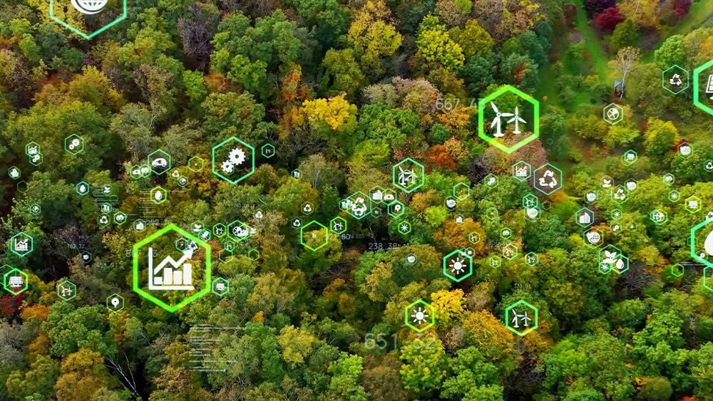 Six BMF members achieve CLC net zero carbon Business Champion status image