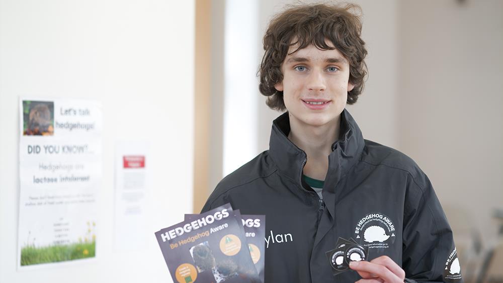 Jewson helps hedgehogs with Homes for Nature campaign image