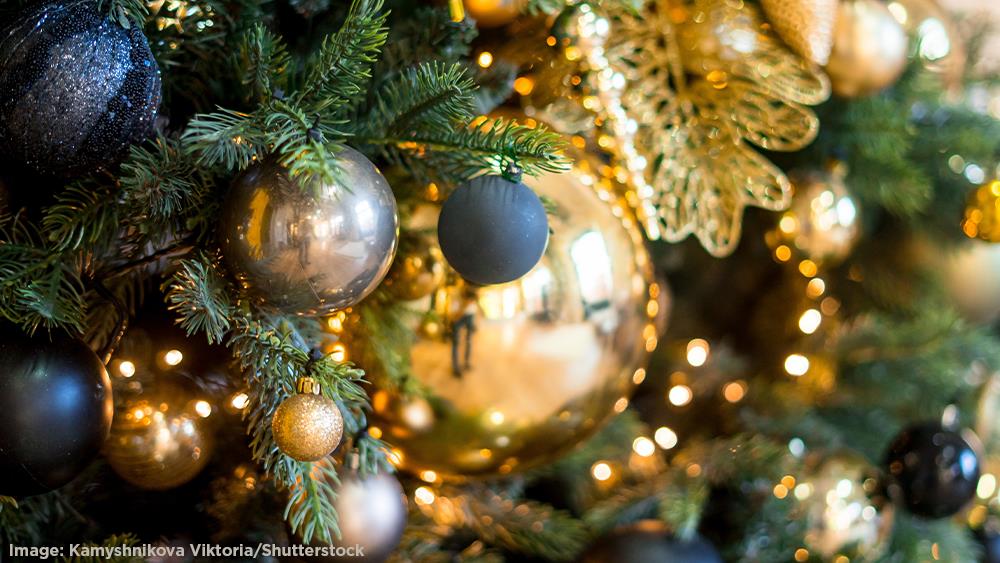 2026: a year of celebration image