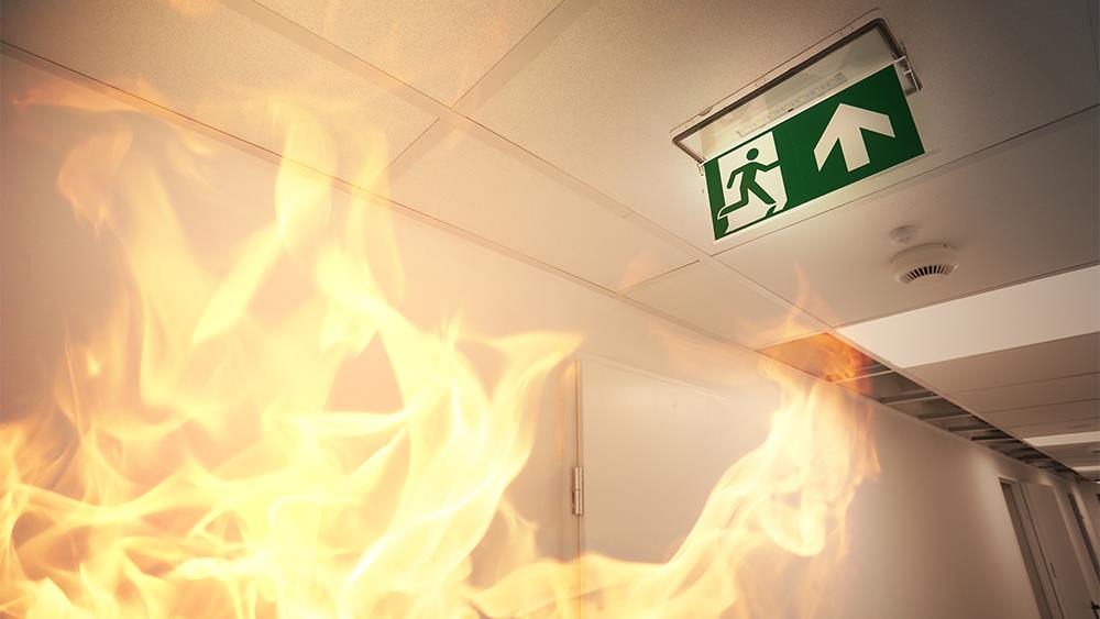 New research highlights industry challenges in ensuring fire door compliance image