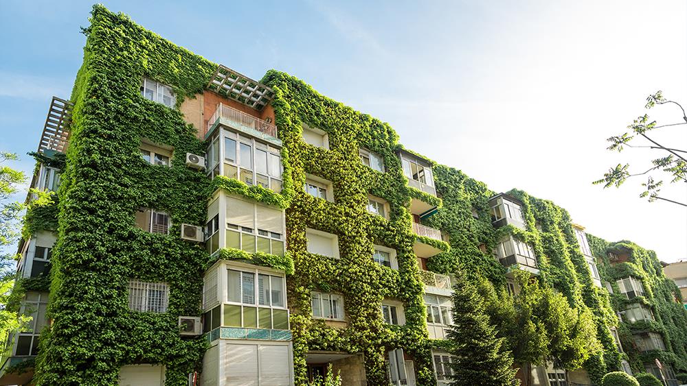 Elemental London and RICS announce partnership image