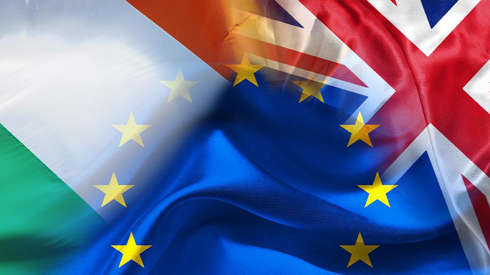 NI merchants cautiously optimistic about the new EU trade deal image