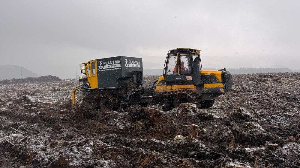 Tilhill trials automated tree planting image