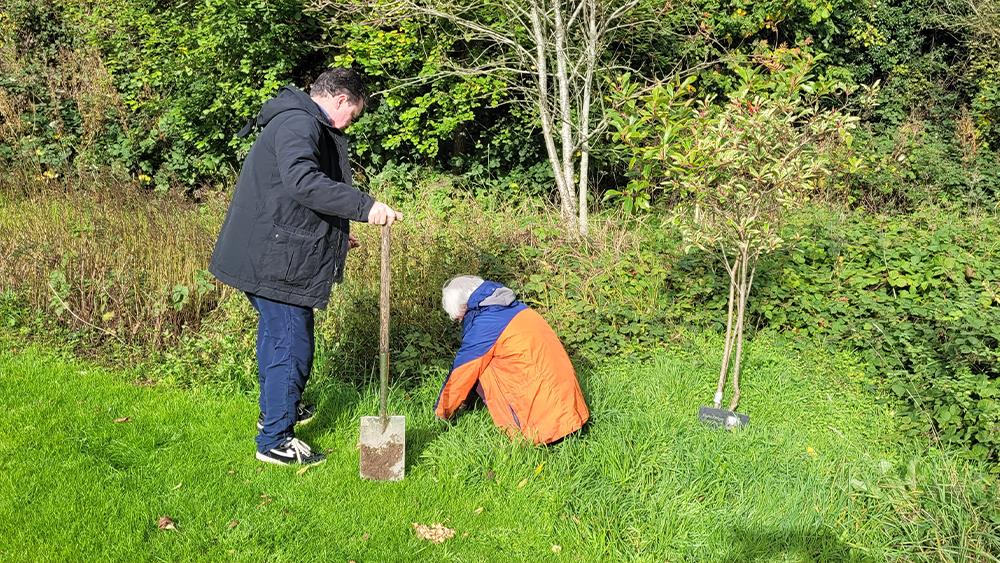 Holcim teams up for 60,000 bulbs project image