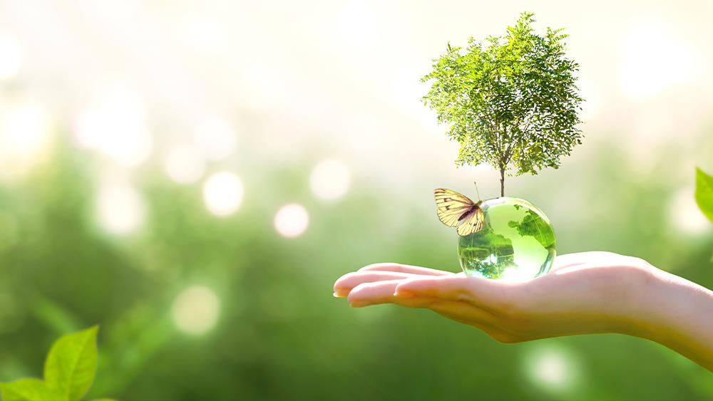 Sustainability gaining traction image