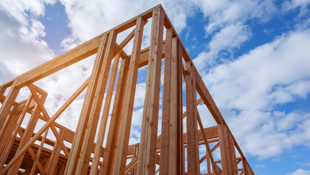 More wood in construction essential to net zero image