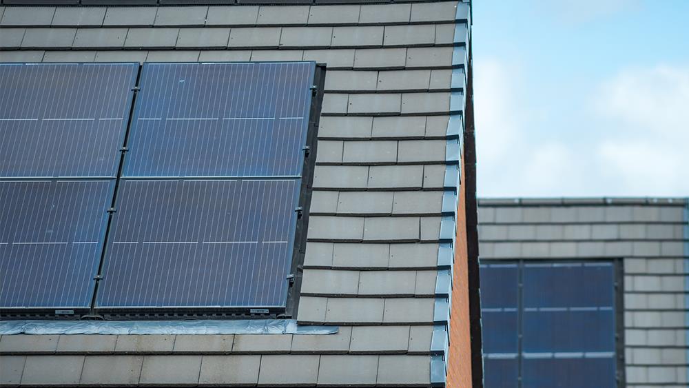 Jewson report reflects growth of sustainability market image