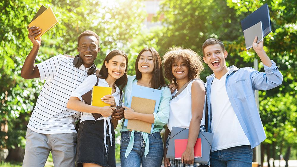 Government announces V-level qualification image