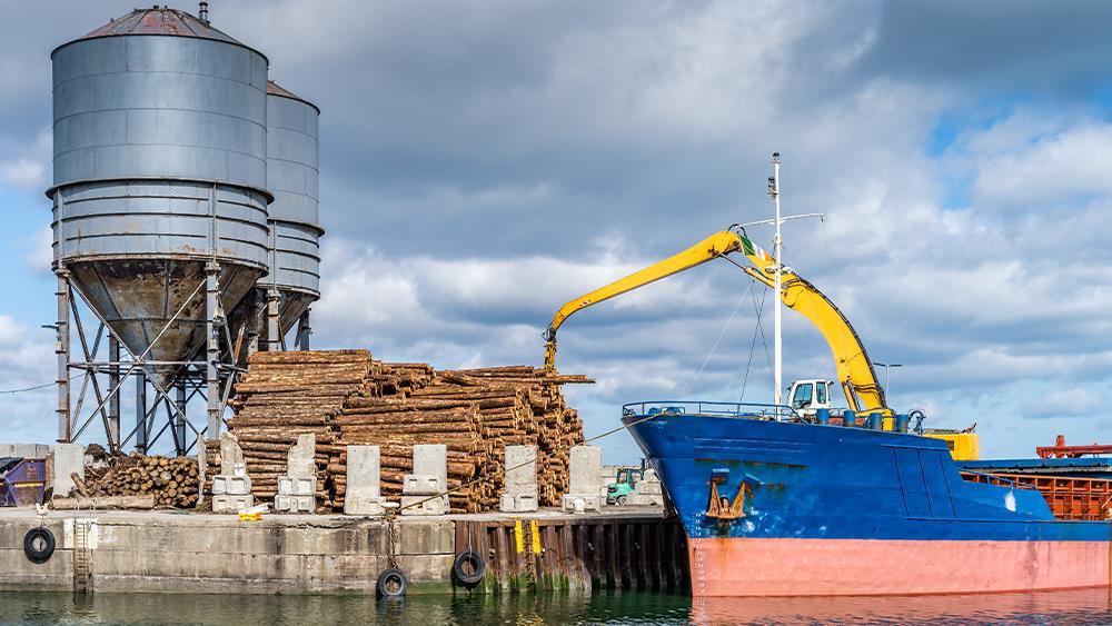 Timber imports nudge upwards during Q3 of overall week year image