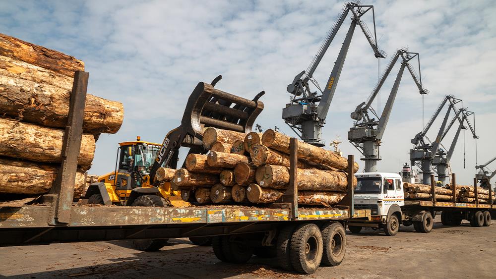 Volume of timber imports in first quarter the highest since 2007 image